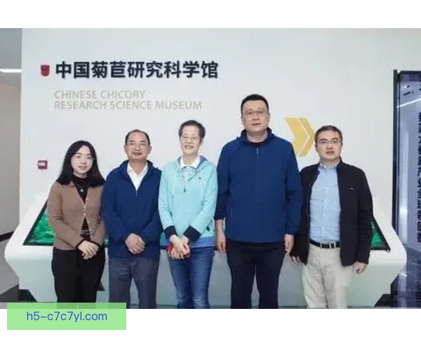 张冰称团队坚守合规垫付转会费