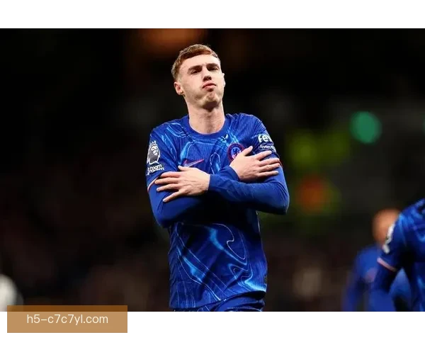 帕尔默CP庆祝动作品牌标志