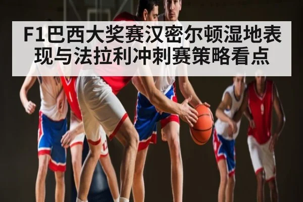 F1巴西大奖赛汉密尔顿湿地表现与法拉利冲刺赛策略看点 - C7C7